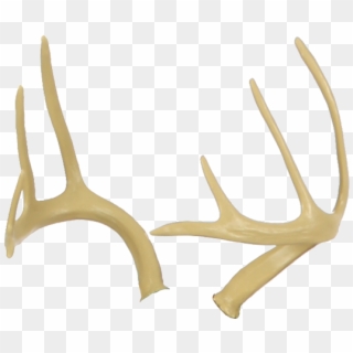 Deer Antlers - Antler, HD Png Download