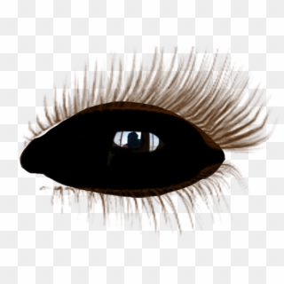 #black #eye #olho #negro #demon #demônio #supernatural - Realistic Eyelashes Transparent Background, HD Png Download