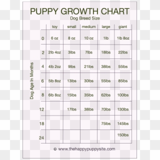 Pitbull Puppy Feeding Chart Development Stages With - Labrador Retriever, HD Png Download