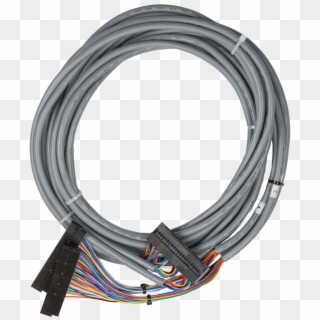 Previous - Ethernet Cable, HD Png Download