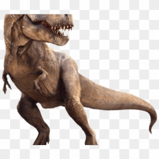 Drawn Tyrannosaurus Rex Jurassic World T Rex - T Rex, HD Png Download