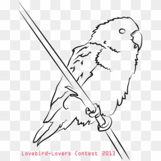 Lovebird Coloring Page - Coloring Book, HD Png Download