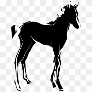Foal Site Icon - Foal Icon, HD Png Download