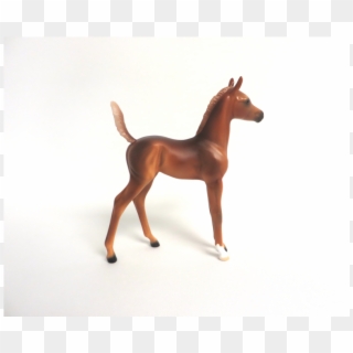 Apona-ooak Chestnut Arabian Foal Model Horse By Audrey - Sorrel, HD Png Download