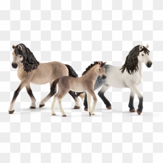 Andalusians - Schleich Pferde Andalusier Stute, HD Png Download