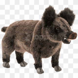 Free Png Download Wild Boar Free Pictures Png Images - Hansa Wild Boar Plush, Transparent Png