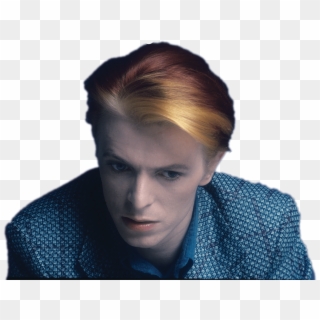 David Bowie Looking Down - Human, HD Png Download
