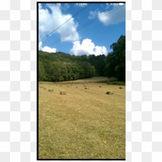 Alfalfa Square Bales - Grass, HD Png Download