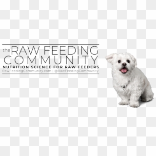 No Bones About It - Raw Feeding, HD Png Download