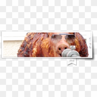 We Cover - Rotisserie, HD Png Download