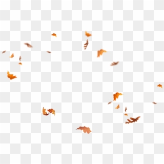 01 Leaves - Падающие Листья Png, Transparent Png