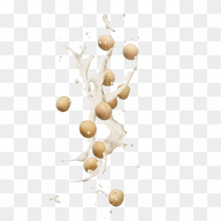 See The Benefits - Soy Splash, HD Png Download