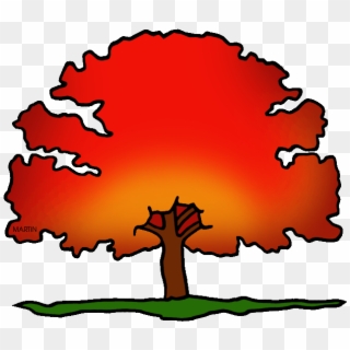 United States Clip Art By Phillip Martin, District - Animated Red Oak Tree, HD Png Download