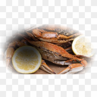 We Sell Live And Cooked Crabs - Steam Crabs, HD Png Download