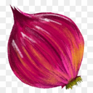 Red Onions Animated Png, Transparent Png