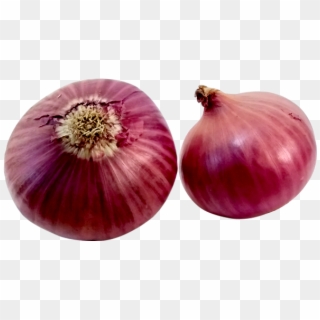 Red Onion, HD Png Download