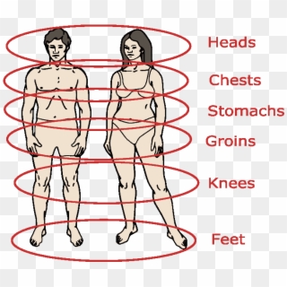 Input Plural Body Parts, HD Png Download