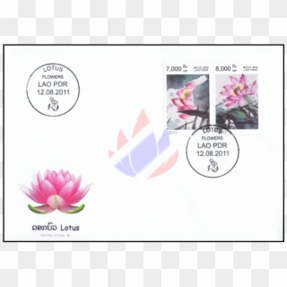 Lotus Flower, HD Png Download