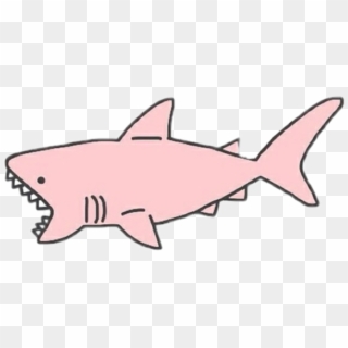 #tiburon #rosa #amor - Pink Shark, HD Png Download