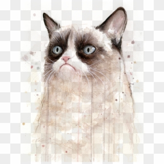Grumpy Cat Watercolor , Png Download - Grumpy Cat Art, Transparent Png