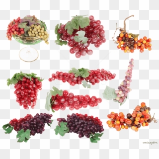 Free Png Download Grapes Png Images Background Png - Seedless Fruit, Transparent Png