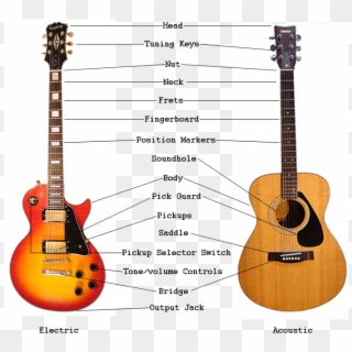 Vinnie Moore Guitar Lesson Free Download - Acoustic Guitar, HD Png Download