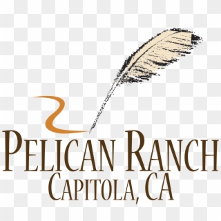 Pelican Ranch Winery - Calligraphy, HD Png Download
