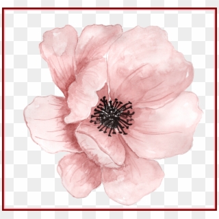 Paint Flower Cliparts - Transparent Background Watercolor Flower Png, Png Download