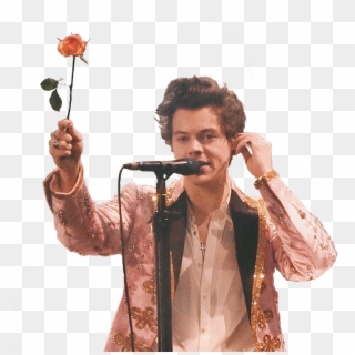 Harry Styles With Flowers, HD Png Download