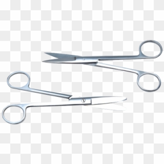 Veterinary Medical Stainless Steel Surgical Operating - Surgical Instrument, HD Png Download