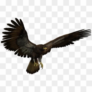 Black Eagle Flying, HD Png Download