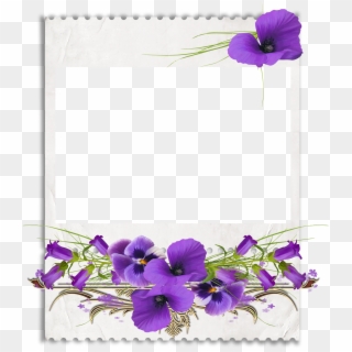 African Violets Clip Art - Violetas Transparente, HD Png Download