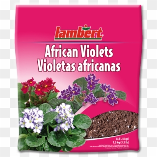Abonos Para Violetas Africanas, HD Png Download