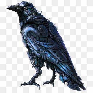 #mq #black #crow #bird #birds - Raven King, HD Png Download