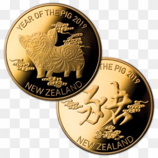 2019 Year Of The Pig Gold Plated Medallion - Year Of The Pig 2019 Coin, HD Png Download