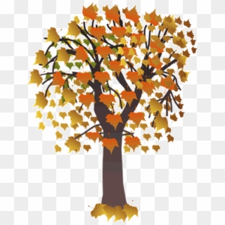 Autumn And Fall Clip Art Collections - Draw A Maple Tree, HD Png Download
