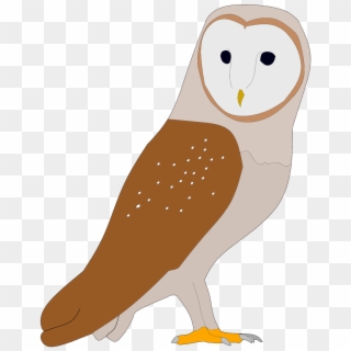 Cheb On Twitter - Owl, HD Png Download