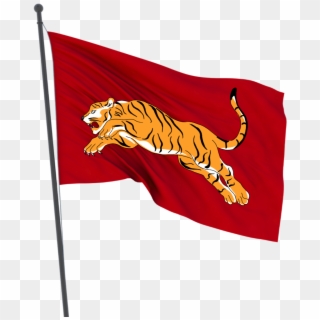 Tiger Flag In Cholas - Symbol Of The Cholas Tiger, HD Png Download