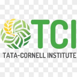 Tata-cornell Institute Lecture - Tata Cornell Institute, HD Png Download