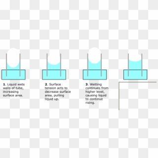 Capillary Rise Mech - Graphic Design, HD Png Download