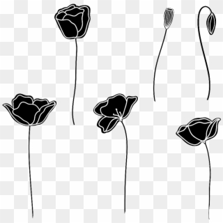 Black And White Hand Drawn Flower - Tulip, HD Png Download
