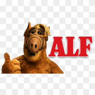 Gordon Shumway Could Be Heading Back To Tv In A New - Alf Clipart, HD Png Download