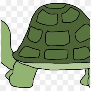 Turtle Clipart Png Transparent Background - Turtle Clipart Png, Png Download