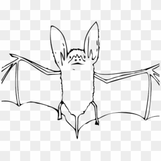 Bat Outline Png, Transparent Png