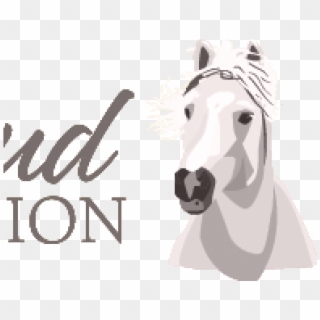 Wild Horse Advocates Appeal Court Decision - The Cloud Foundation, HD Png Download