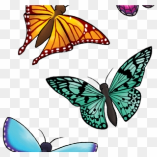 Clipart Wallpaper Blink - Butterfly Transparent Clipart, HD Png Download