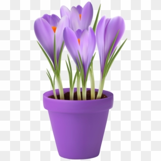 Crocus Clipart Cute Flower Garden - Purple Flower Pot Png, Transparent Png