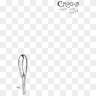 This Free Icons Png Design Of Crocus Flower - Crocus, Transparent Png