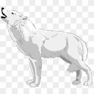 19 Wolves Image Royalty Free Download Huge Freebie - Clip Art White Wolf, HD Png Download