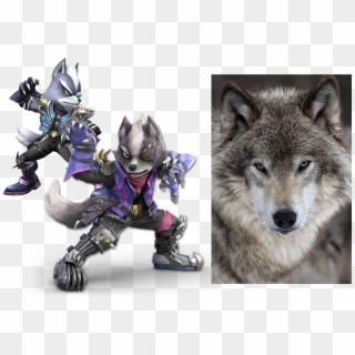 Just Want To Real Quick Speak On How Much Better Wolf's - Wolf Smash Bros Ultimate, HD Png Download